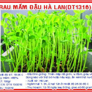 Rau mầm đậu hà lan